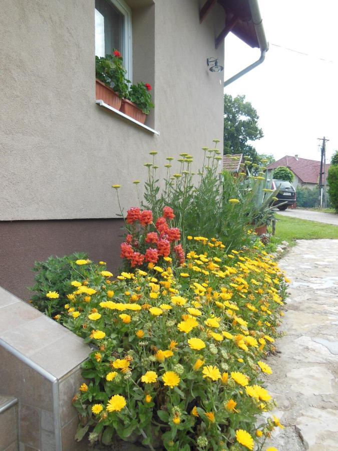 Virágos Apartman Balatonszárszó Exterior foto
